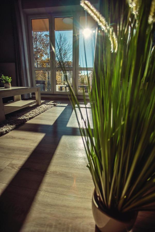 Apartament View 비스와 외부 사진